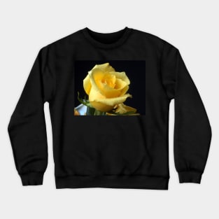 Aug Crewneck Sweatshirt